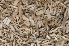 biomass boilers Wood Green